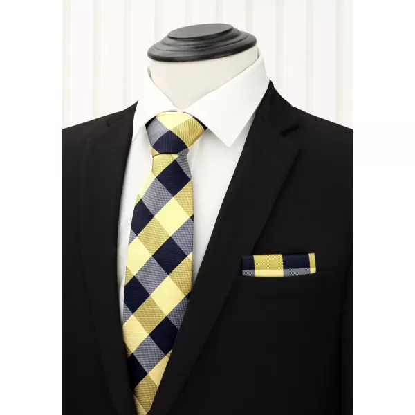 HISDERN Mens Ties Set 5PCS Collection Tie and Pocket Sqaure Formal Business Neckties Gift Box Wedding Necktie for Men