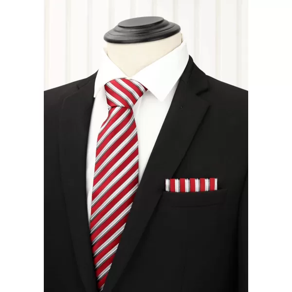 HISDERN Mens Ties Set 5PCS Collection Tie and Pocket Sqaure Formal Business Neckties Gift Box Wedding Necktie for Men