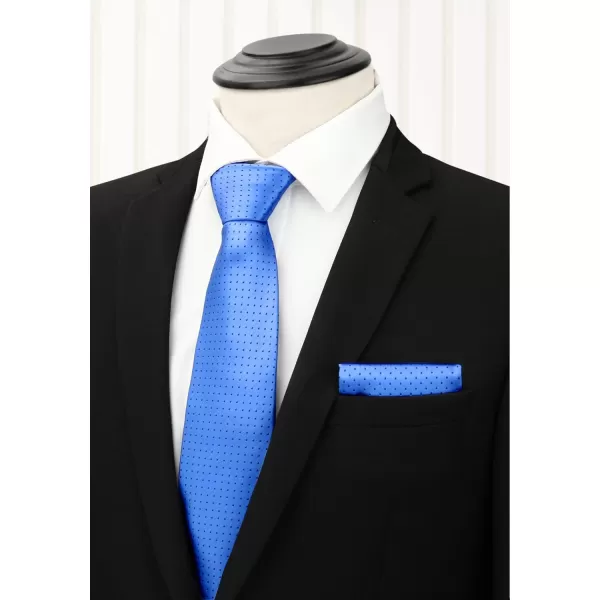 HISDERN Mens Ties Set 5PCS Collection Tie and Pocket Sqaure Formal Business Neckties Gift Box Wedding Necktie for Men