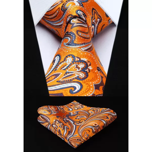 HISDERN Mens Ties Set 5PCS Collection Tie and Pocket Sqaure Formal Business Neckties Gift Box Wedding Necktie for Men