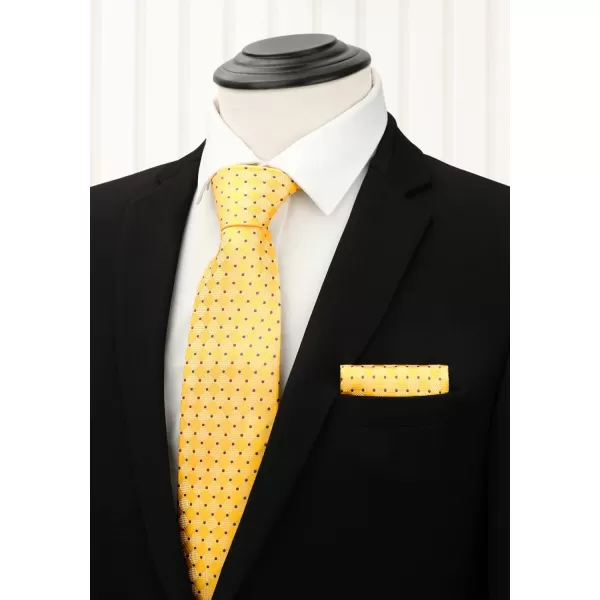 HISDERN Mens Ties Set Collection Tie and Pocket Square Lot 3 Pcs Formal Business Neckties Gift Box Wedding Necktie