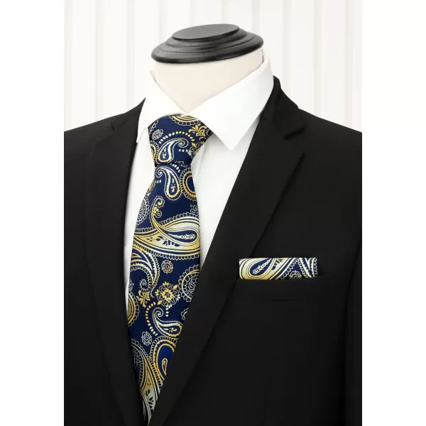 HISDERN Mens Ties Set Collection Tie and Pocket Square Lot 3 Pcs Formal Business Neckties Gift Box Wedding Necktie