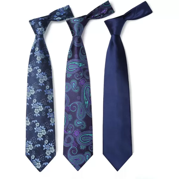 HISDERN Mens Ties Set Collection Tie and Pocket Square Lot 3 Pcs Formal Business Neckties Gift Box Wedding Necktie
