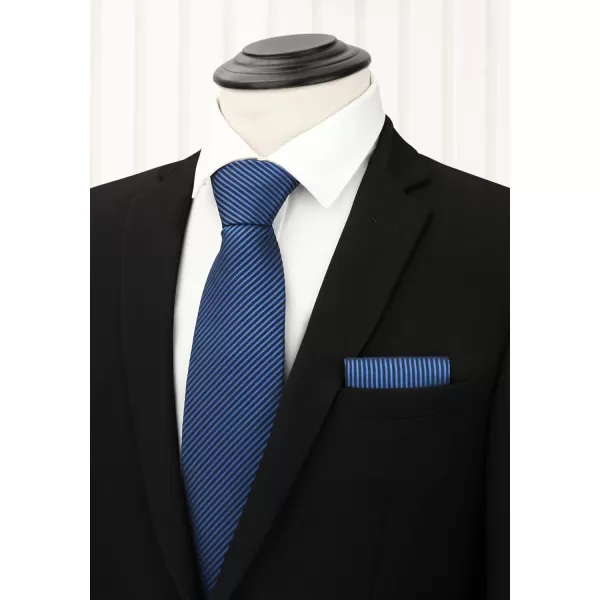 HISDERN Mens Ties Set Collection Tie and Pocket Square Lot 3 Pcs Formal Business Neckties Gift Box Wedding Necktie