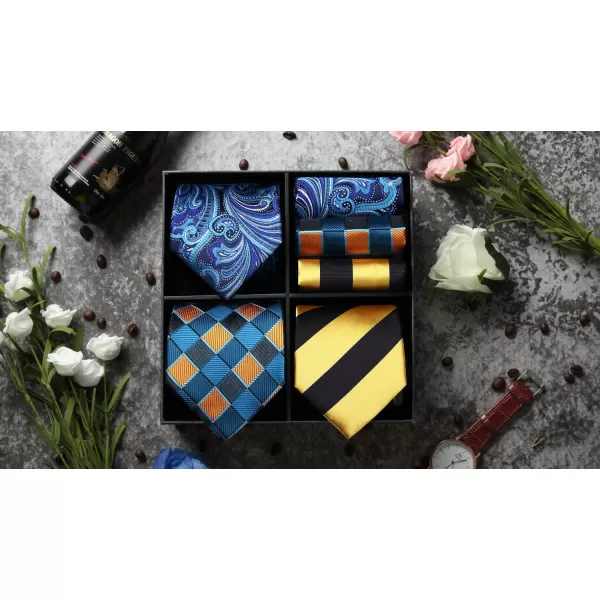 HISDERN Mens Ties Set Collection Tie and Pocket Square Lot 3 Pcs Formal Business Neckties Gift Box Wedding Necktie