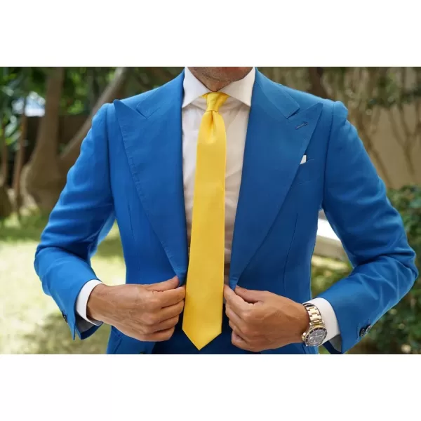 HISDERN Mens Ties Solid Color Tie and Pocket Square Set Classic Woven Formal Neckties &amp; Handkerchief Wedding Party