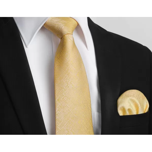 HISDERN Mens Ties Solid Color Tie and Pocket Square Set Classic Woven Formal Neckties &amp; Handkerchief Wedding Party