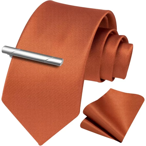 HISDERN Mens Ties Solid Color Wedding Ties and Pocket Square Neckties Clip Sets Business Formal Satin Ties for Men