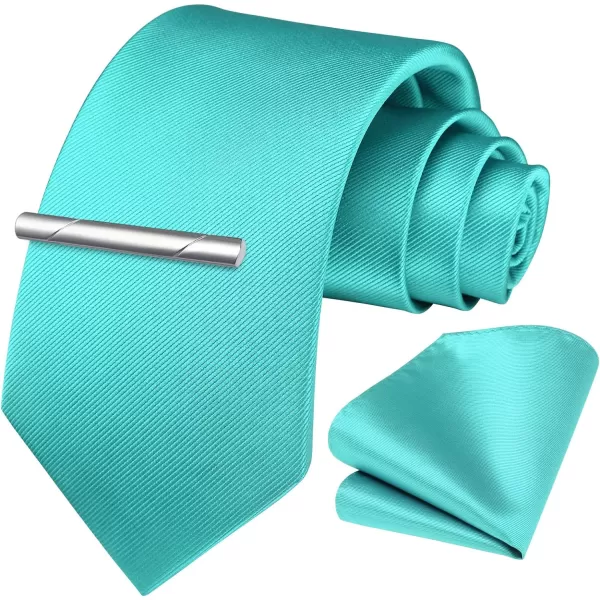 HISDERN Mens Ties Solid Color Wedding Ties and Pocket Square Neckties Clip Sets Business Formal Satin Ties for Men