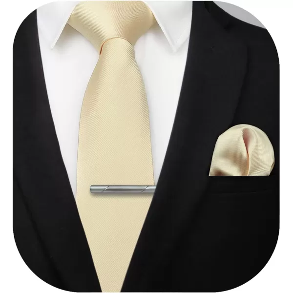 HISDERN Mens Ties Solid Color Wedding Ties and Pocket Square Neckties Clip Sets Business Formal Satin Ties for Men