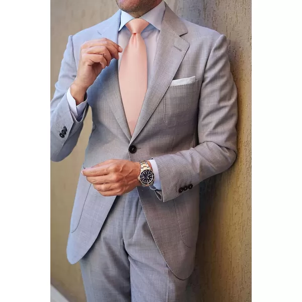 HISDERN Mens Ties Solid Color Wedding Ties and Pocket Square Neckties Clip Sets Business Formal Satin Ties for Men