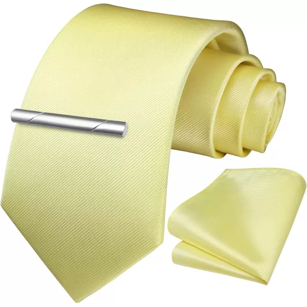 HISDERN Mens Ties Solid Color Wedding Ties and Pocket Square Neckties Clip Sets Business Formal Satin Ties for Men