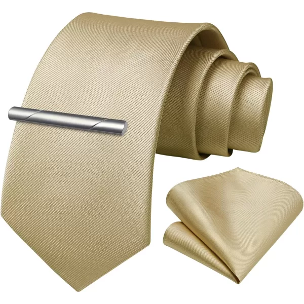 HISDERN Mens Ties Solid Color Wedding Ties and Pocket Square Neckties Clip Sets Business Formal Satin Ties for Men