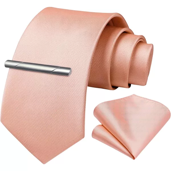HISDERN Mens Ties Solid Color Wedding Ties and Pocket Square Neckties Clip Sets Business Formal Satin Ties for Men