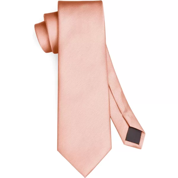 HISDERN Mens Ties Solid Color Wedding Ties and Pocket Square Neckties Clip Sets Business Formal Satin Ties for Men