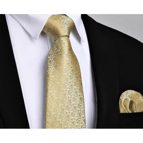 HISDERN Mens Ties Striped Ties for Men Formal Tie and Pocket Square Set Necktie for Wedding Business Graduation
