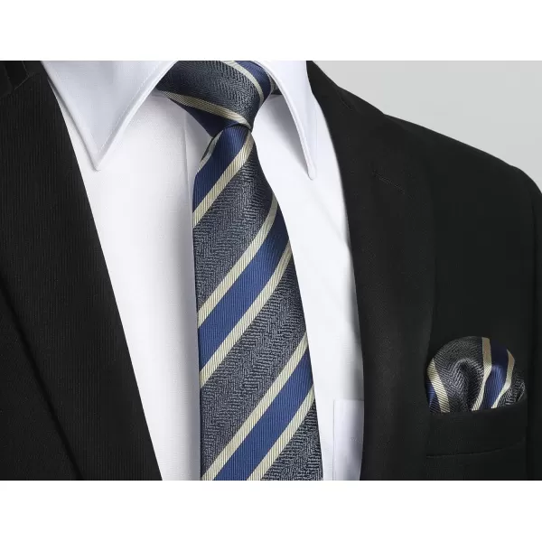 HISDERN Mens Ties Striped Ties for Men Formal Tie and Pocket Square Set Necktie for Wedding Business Graduation