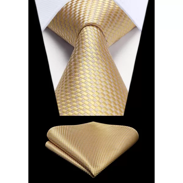 HISDERN Mens Ties Striped Ties for Men Formal Tie and Pocket Square Set Necktie for Wedding Business Graduation
