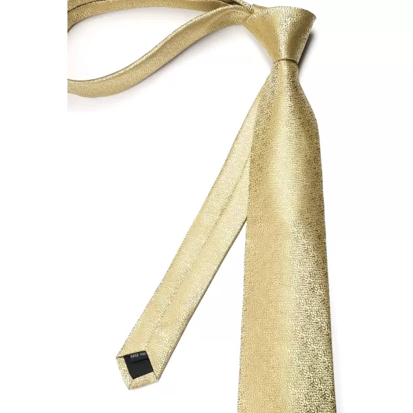 HISDERN Mens Ties Striped Ties for Men Formal Tie and Pocket Square Set Necktie for Wedding Business Graduation