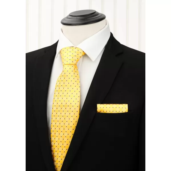 HISDERN Mens Ties and Pocket Square Set Business Elegant Ties for Men Classic Lot 3 Pcs Wedding Party Neckties &amp; Handkerchief