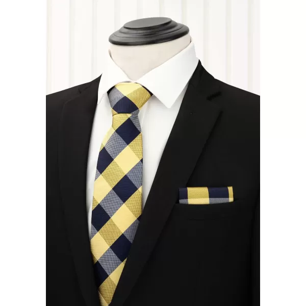HISDERN Mens Ties and Pocket Square Set Business Elegant Ties for Men Classic Lot 3 Pcs Wedding Party Neckties &amp; Handkerchief