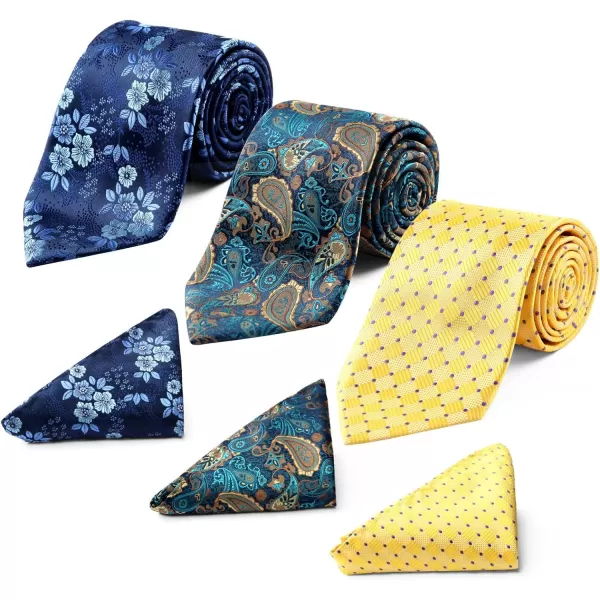HISDERN Mens Ties and Pocket Square Set Business Elegant Ties for Men Classic Lot 3 Pcs Wedding Party Neckties &amp; Handkerchief