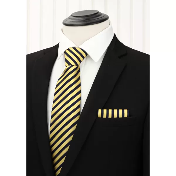 HISDERN Mens Ties and Pocket Square Set Business Elegant Ties for Men Classic Lot 3 Pcs Wedding Party Neckties &amp; Handkerchief