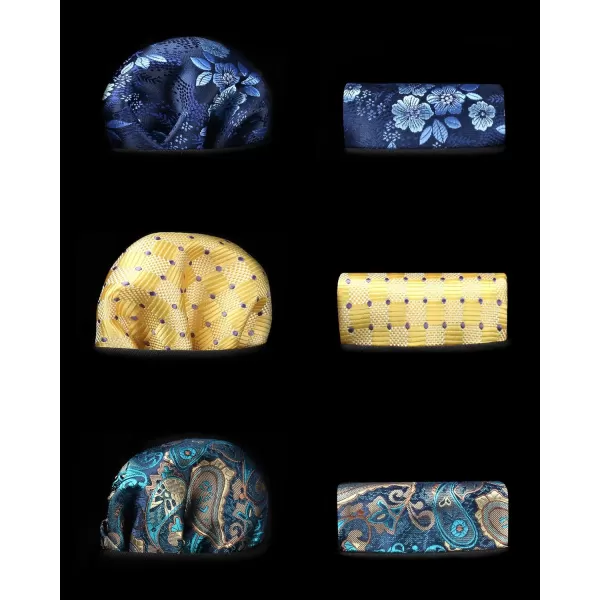 HISDERN Mens Ties and Pocket Square Set Business Elegant Ties for Men Classic Lot 3 Pcs Wedding Party Neckties &amp; Handkerchief
