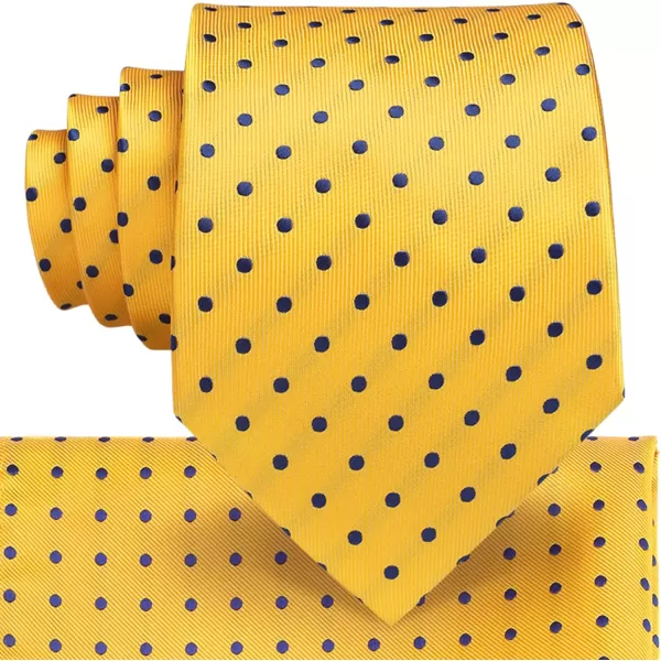 HISDERN Mens Ties and Pocket Square Set Business Elegant Ties for Men Classic Lot 3 Pcs Wedding Party Neckties &amp; Handkerchief