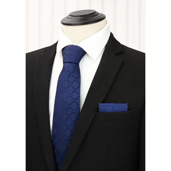 HISDERN Mens Ties and Pocket Square Set Business Elegant Ties for Men Classic Lot 3 Pcs Wedding Party Neckties &amp; Handkerchief