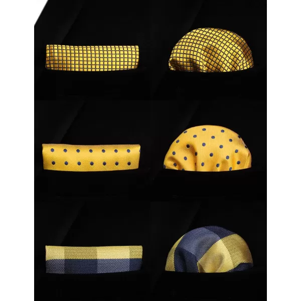 HISDERN Mens Ties and Pocket Square Set Business Elegant Ties for Men Classic Lot 3 Pcs Wedding Party Neckties &amp; Handkerchief