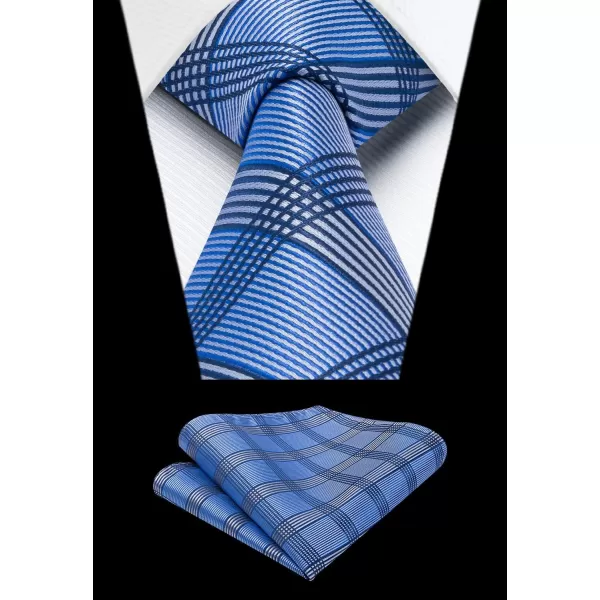 HISDERN Mens Ties for Men Formal Tie with Pocket Square Set Tie Handkerchief Necktie for Men Wedding Party Business