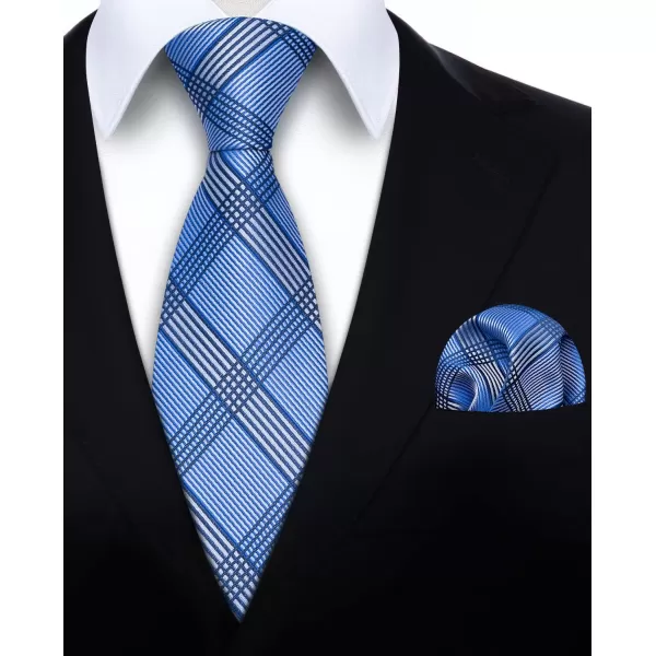 HISDERN Mens Ties for Men Formal Tie with Pocket Square Set Tie Handkerchief Necktie for Men Wedding Party Business
