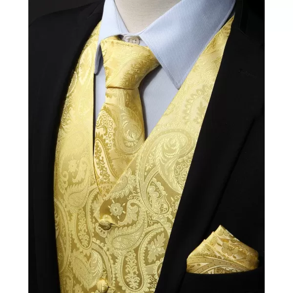 HISDERN Men's Vest Tie Set Paisley Floral Jacquard Necktie Pocket Square 3PCS Waistcoat for Suit or Tuxedo Wedding Party