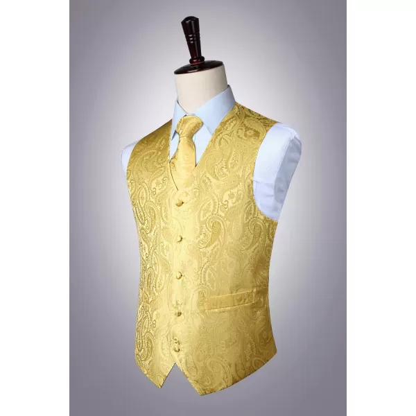 HISDERN Men's Vest Tie Set Paisley Floral Jacquard Necktie Pocket Square 3PCS Waistcoat for Suit or Tuxedo Wedding Party