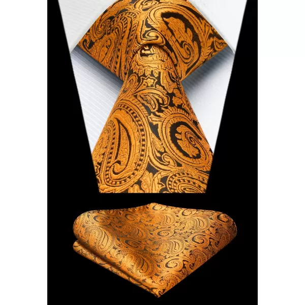 HISDERN Men's Vest Tie Set Paisley Floral Jacquard Necktie Pocket Square 3PCS Waistcoat for Suit or Tuxedo Wedding Party