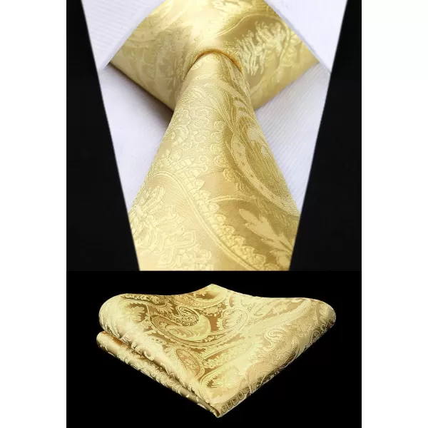 HISDERN Men's Vest Tie Set Paisley Floral Jacquard Necktie Pocket Square 3PCS Waistcoat for Suit or Tuxedo Wedding Party