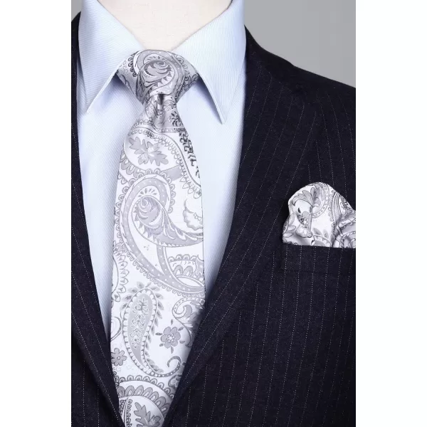 HISDERN Paisley Ties for Men Solid Color Tie Handkerchief Floral Mens Ties and Pocket Square Set Wedding Classic Necktie