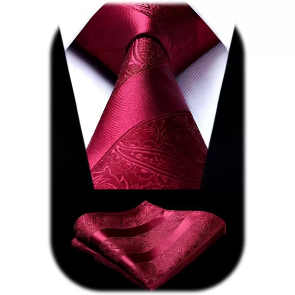 HISDERN Paisley Ties for Men Solid Color Tie Handkerchief Floral Mens Ties and Pocket Square Set Wedding Classic Necktie