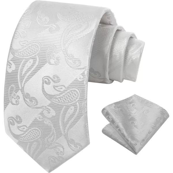 HISDERN Paisley Ties for Men Solid Color Tie Handkerchief Floral Mens Ties and Pocket Square Set Wedding Classic Necktie