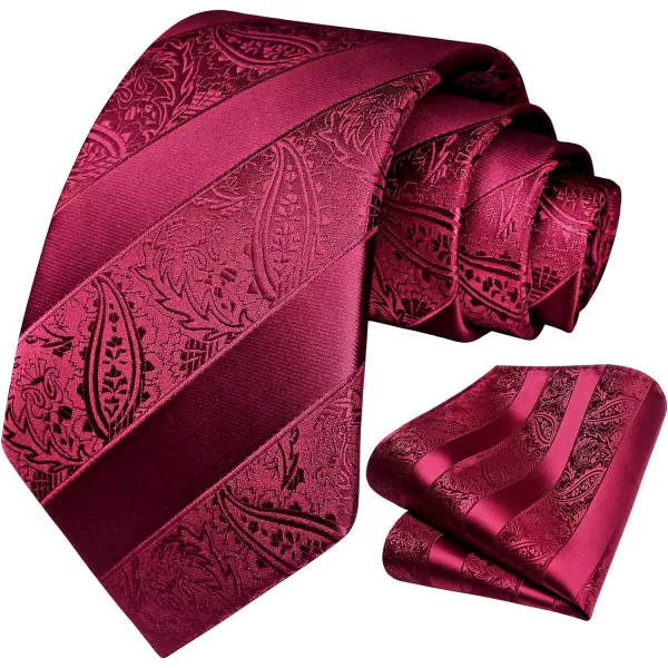 HISDERN Paisley Ties for Men Solid Color Tie Handkerchief Floral Mens Ties and Pocket Square Set Wedding Classic Necktie