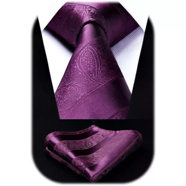 HISDERN Paisley Ties for Men Solid Color Tie Handkerchief Floral Mens Ties and Pocket Square Set Wedding Classic Necktie