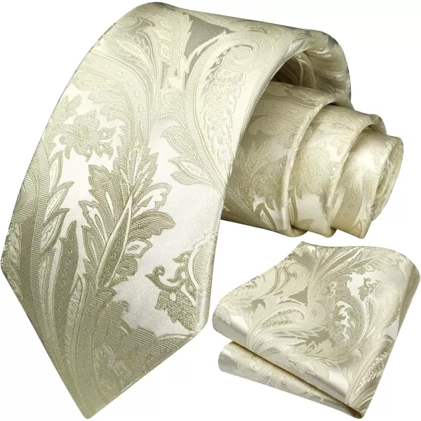 HISDERN Paisley Ties for Men Solid Color Tie Handkerchief Floral Mens Ties and Pocket Square Set Wedding Classic Necktie
