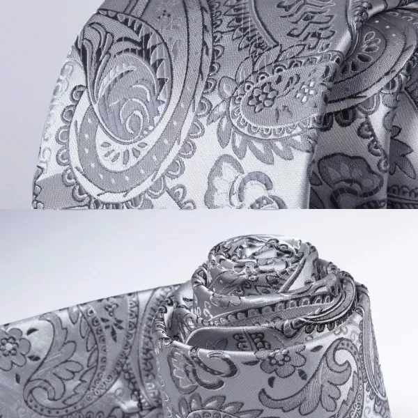 HISDERN Paisley Ties for Men Solid Color Tie Handkerchief Floral Mens Ties and Pocket Square Set Wedding Classic Necktie