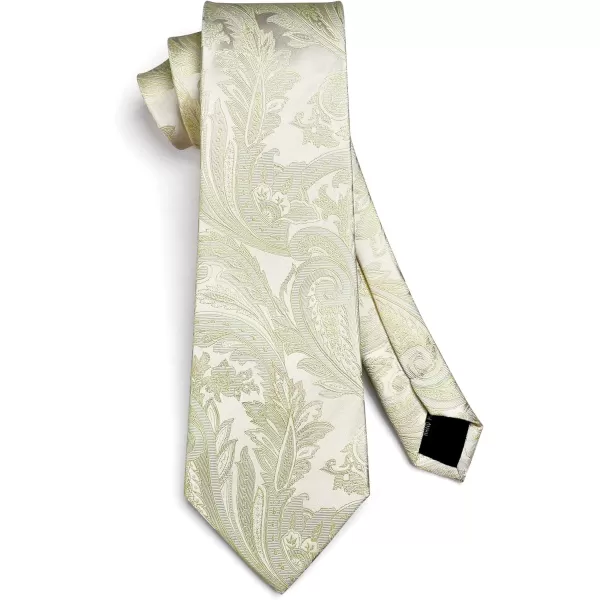 HISDERN Paisley Ties for Men Solid Color Tie Handkerchief Floral Mens Ties and Pocket Square Set Wedding Classic Necktie