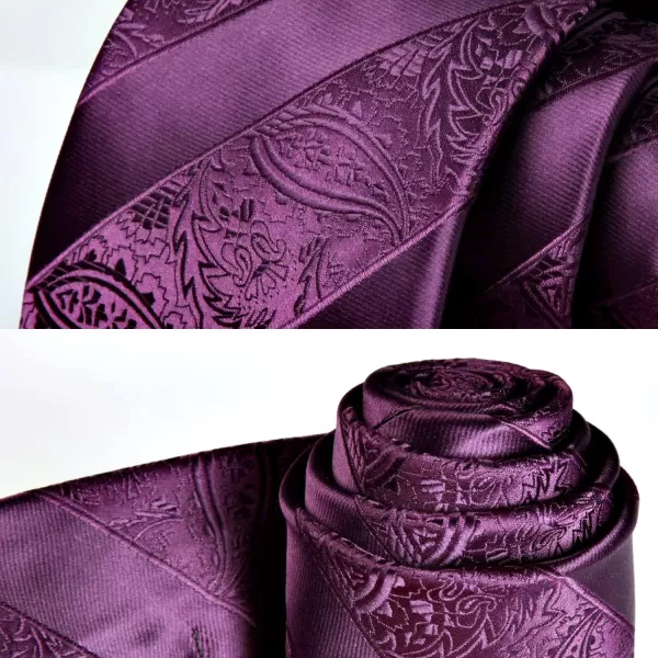 HISDERN Paisley Ties for Men Solid Color Tie Handkerchief Floral Mens Ties and Pocket Square Set Wedding Classic Necktie