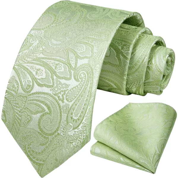 HISDERN Paisley Ties for Men Solid Tie Handkerchief Floral Men's Necktie &amp; Pocket Square Set Wedding Classic Mens Ties