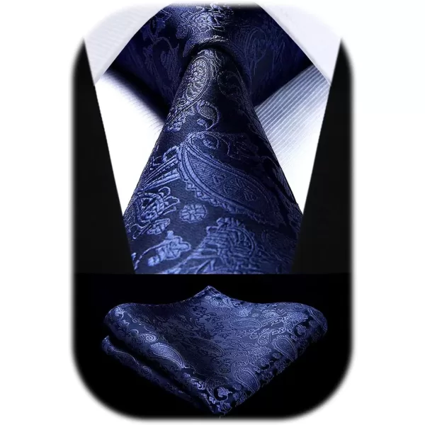 HISDERN Paisley Ties for Men Solid Tie Handkerchief Floral Men's Necktie &amp; Pocket Square Set Wedding Classic Mens Ties