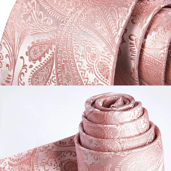 HISDERN Paisley Ties for Men Solid Tie Handkerchief Floral Men's Necktie &amp; Pocket Square Set Wedding Classic Mens Ties