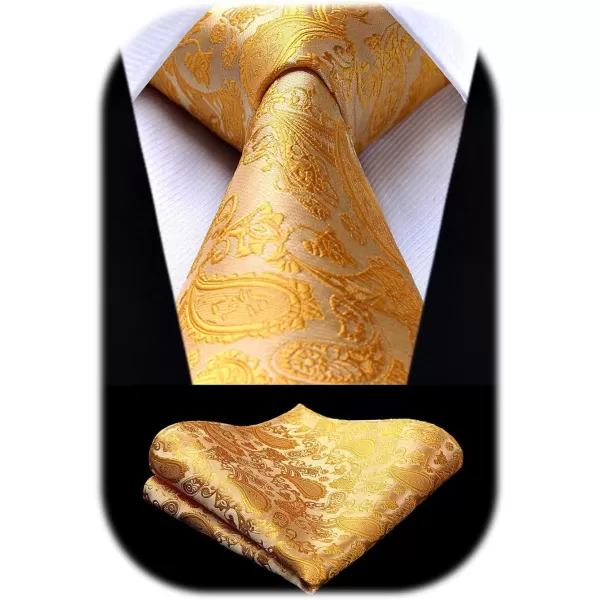 HISDERN Paisley Ties for Men Solid Tie Handkerchief Floral Men's Necktie &amp; Pocket Square Set Wedding Classic Mens Ties